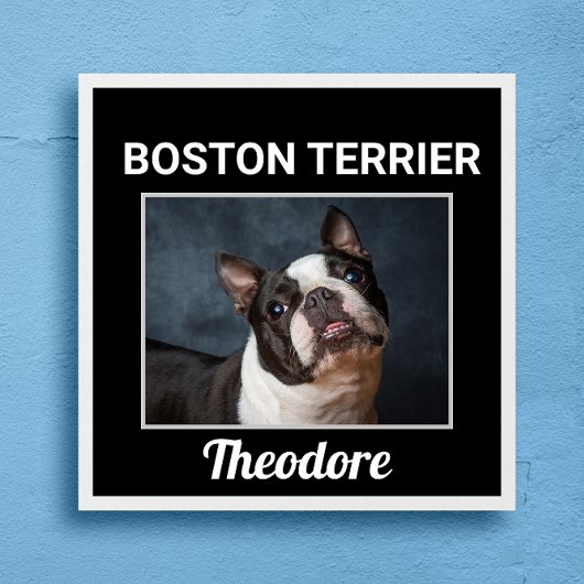Boston Terrier Custom Dog Poster