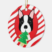 Boston Terrier Cute Dog Ornament (Links)