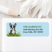 Boston Terrier Daffodil Garden Retouradres Etiket (Insitu)