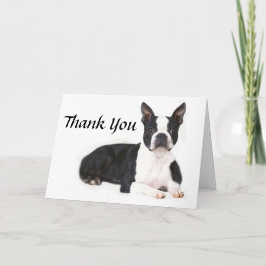 Boston Terrier dankt u kaardt Bedankkaart (Voorkant)