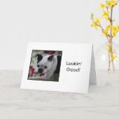 Boston Terrier die de Goede Kaart van de (Gele Bloem)