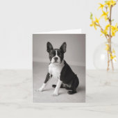 Boston Terrier die de Kaart van de Nota zitten (Gele Bloem)