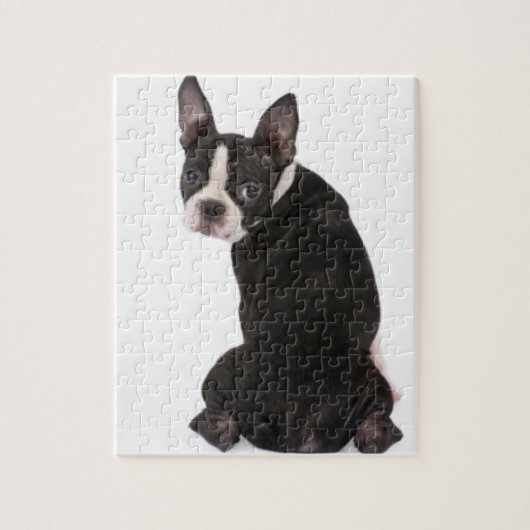 Boston Terrier die naar je puzzle kijkt met Gift B Legpuzzel (Verticaal)