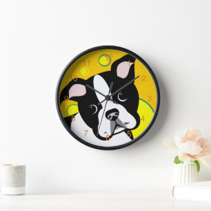 Boston Terrier Dog