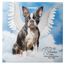 Boston Terrier Dog Angel Custom Pet Memorial
