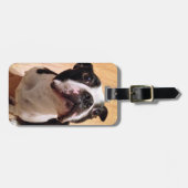 Boston Terrier Dog Bagagelabel (Voorkant horizontaal)