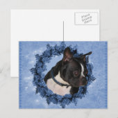 Boston Terrier Dog Briefkaart (Voorkant / Achterkant)