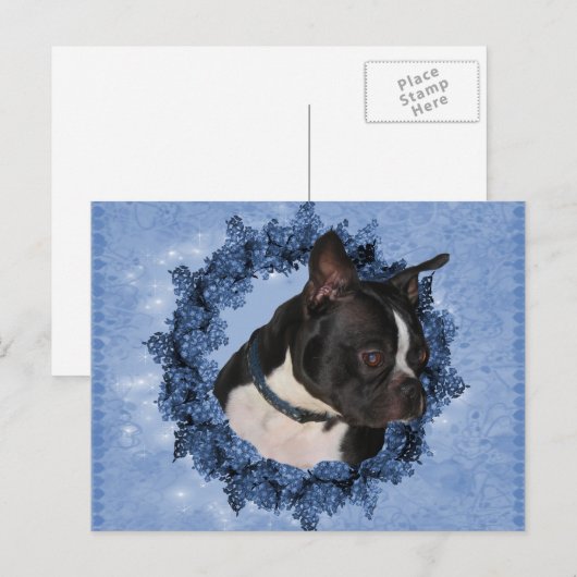 Boston Terrier Dog Briefkaart (Voorkant / Achterkant)