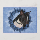Boston Terrier Dog Briefkaart (Voorkant)