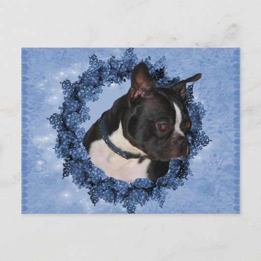 Boston Terrier Dog Briefkaart (Voorkant)