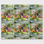 Boston Terrier dog Cadeaupapier (Vlak)