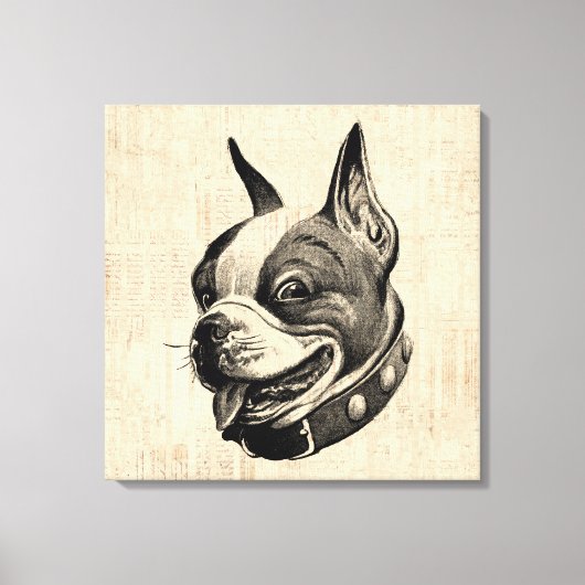Boston Terrier Dog Cute Pet Dog Antiek Art Canvas Afdruk (Voorkant)