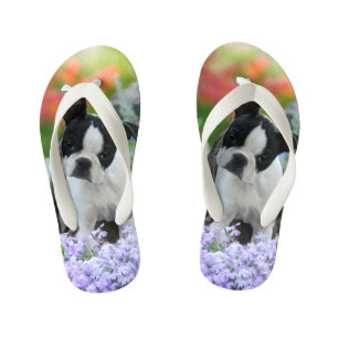 Boston Terrier Dog Cute Puppy Animal Foto - Kinder Teenslippers
