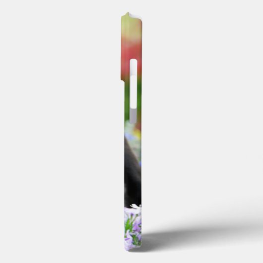 Boston Terrier Dog Cute Puppy Animal Head Foto - Case-Mate iPhone Case (Achterkant / Links)