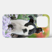 Boston Terrier Dog Cute Puppy Animal Head Foto - Case-Mate iPhone Case (Achterkant (horizontaal))