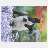 Boston Terrier Dog Cute Puppy Animal Head Foto - Fleece Deken (Voorkant (Horizontaal))