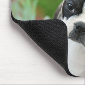 Boston Terrier Dog Cute Puppy Animal Head Foto Muismat (Hoek)