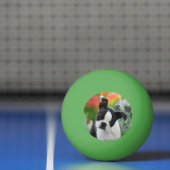 Boston Terrier Dog Cute Puppy Animal Head Foto Pingpongbal (Net)