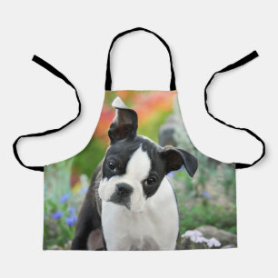 Boston Terrier Dog Cute Puppy Animal Head Foto - Schort