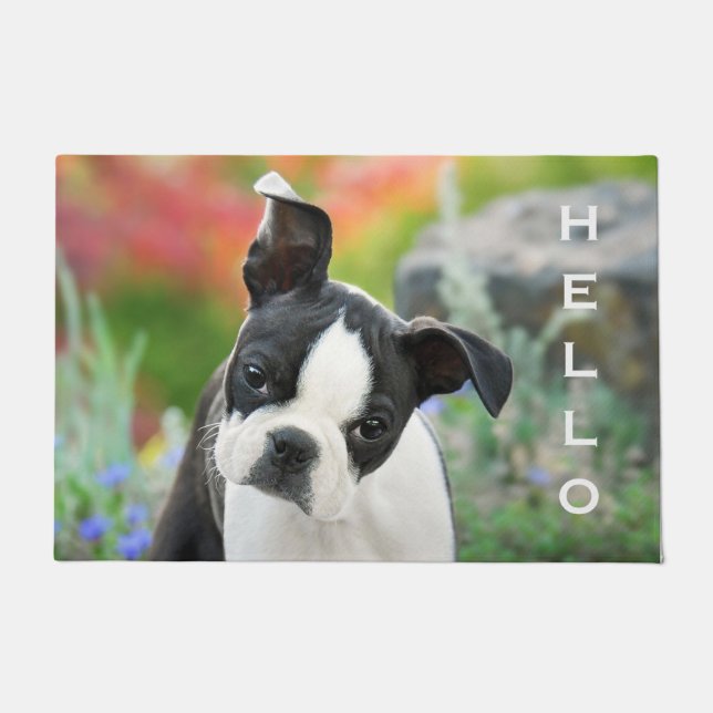 Boston Terrier Dog Cute Puppy Animal Head - Hallo Deurmat (Voorkant)