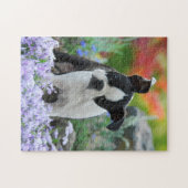 Boston Terrier Dog Cute Puppy Game 11x14 Legpuzzel (Horizontaal)