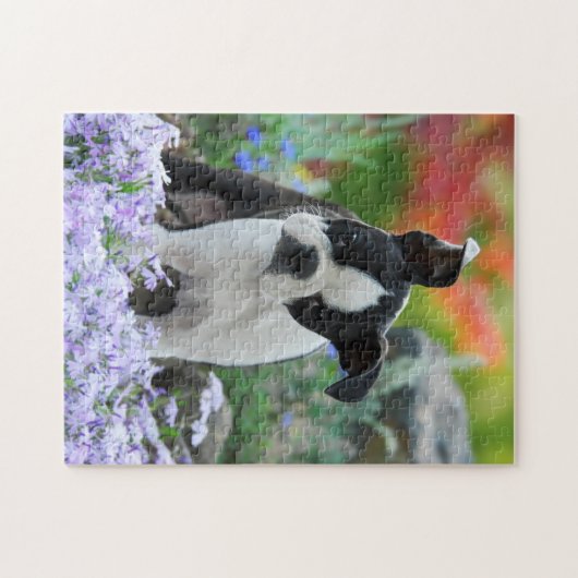 Boston Terrier Dog Cute Puppy Game 11x14 Legpuzzel (Horizontaal)