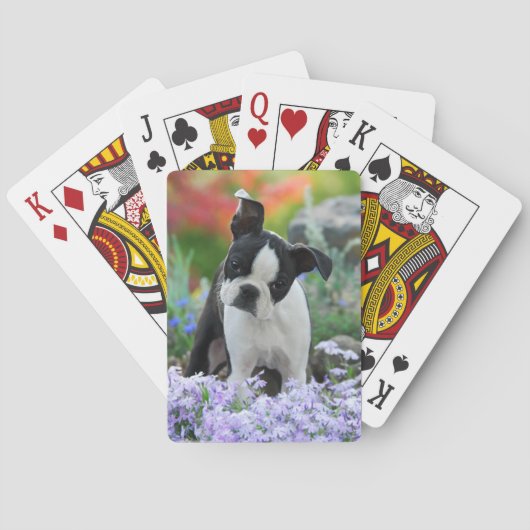 Boston Terrier Dog Cute Puppy in Flowers - Pokerkaarten (Achterkant)