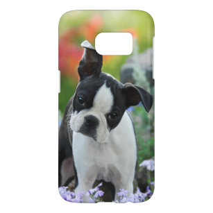 Boston Terrier Dog Cute Puppy Photo, Phonecase Samsung Galaxy S7 Hoesje