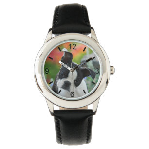 Boston Terrier Dog Cute Puppy Portrait dial-bord Horloge