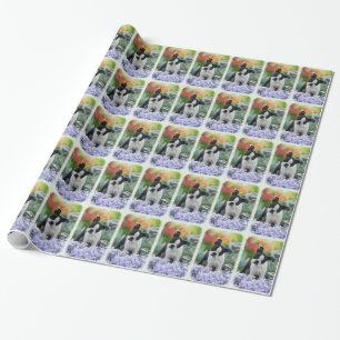 Boston Terrier Dog Cute Puppy Portrait Foto - Cadeaupapier