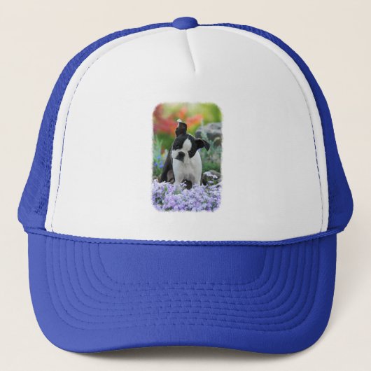 Boston Terrier Dog Cute Puppy Portrait Foto - Trucker Pet (Voorkant)