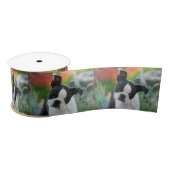 Boston Terrier Dog Cute Puppy Portrait Pet Foto - Satijnen Lint (Spoel)