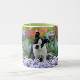 Boston Terrier Dog Cute Puppy Portret Foto _ Tweekleurige Koffiemok