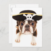 Boston Terrier Dog drukte als piraat Briefkaart (Voorkant / Achterkant)