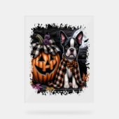 Boston Terrier Dog Halloween Acryl Bord (Voorkant)