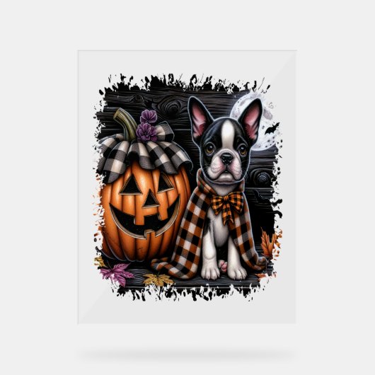 Boston Terrier Dog Halloween Acryl Bord (Voorkant)