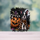 Boston Terrier Dog Halloween Acryl Bord (Neutraal)