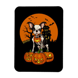 Boston Terrier Dog Halloween Magneet