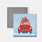 Boston Terrier Dog in auto met kerstman Magneet (Voorkant / Achterkant)