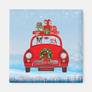 Boston Terrier Dog in auto met kerstman Magneet