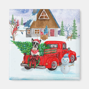 Boston Terrier dog in kerstcadeau Truck Magneet