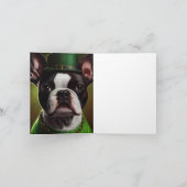 Boston Terrier dog in St. Patrick's Day Dress Kaart (Binnen)