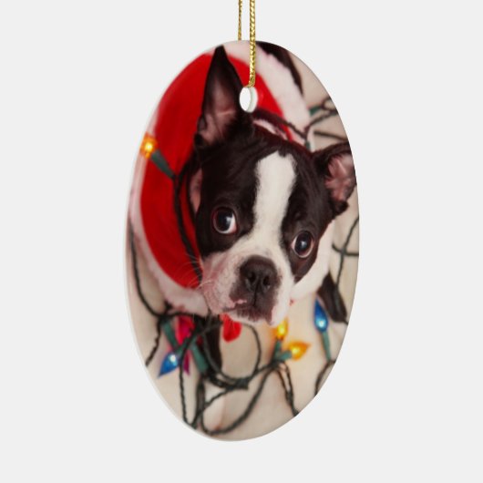 Boston Terrier Dog in Twinking Lights Ornament (Rechts)
