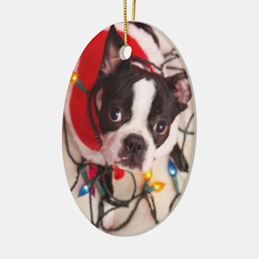 Boston Terrier Dog in Twinking Lights Ornament (Links)