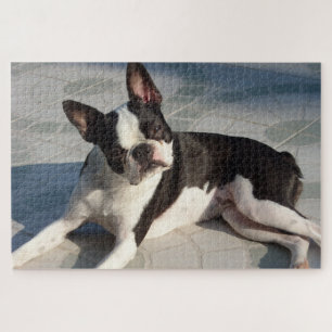 Boston Terrier Dog Jigzaag Puzzle Black en White Legpuzzel
