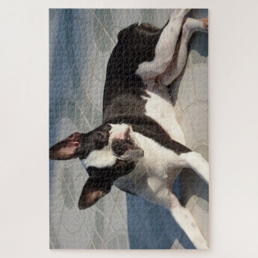 Boston Terrier Dog Jigzaag Puzzle Black en White Legpuzzel (Verticaal)