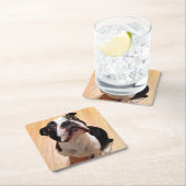 Boston Terrier Dog Kartonnen Onderzetters (Insitu)