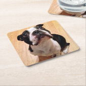 Boston Terrier Dog Kartonnen Onderzetters (Schuin)