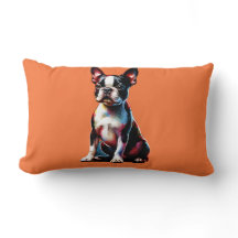 Boston Terrier Dog