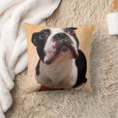 Boston Terrier Dog Kussen (Deken)